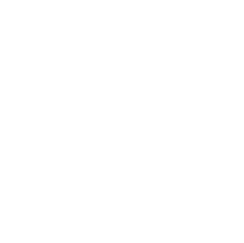 Digital Turn